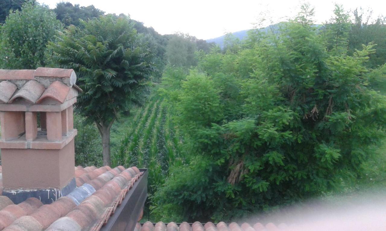 Agriturismo Terra E Lago D'Iseo Franciacorta Паратико Екстериор снимка