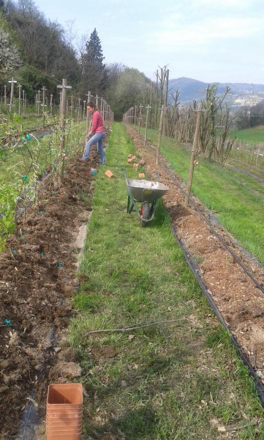 Agriturismo Terra E Lago D'Iseo Franciacorta Паратико Екстериор снимка